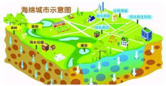海綿城市：綠色城市發展新趨勢